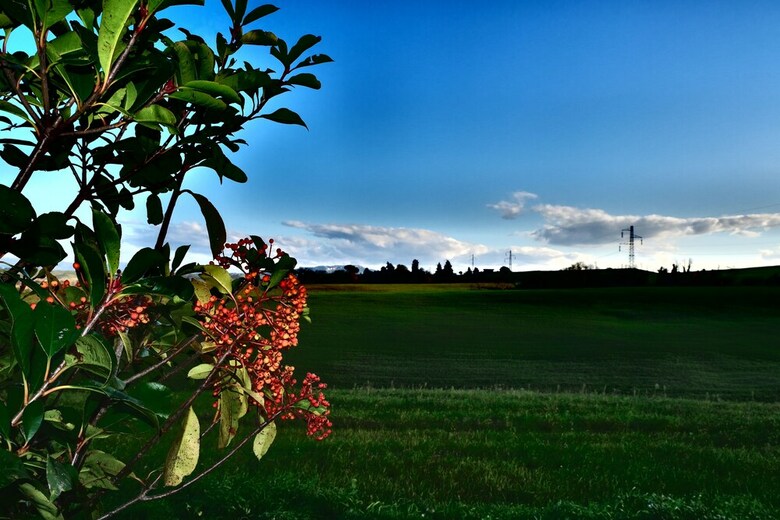 Apartamento Casa D'era Country Holiday House