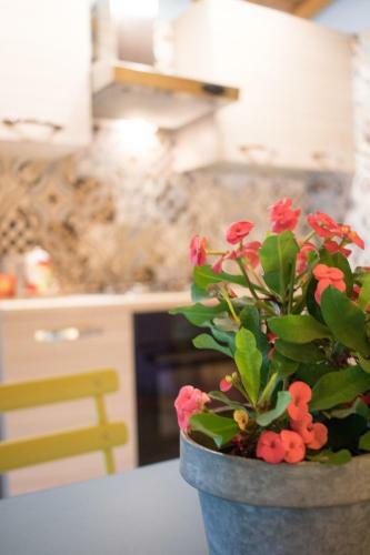 Agroturismo Fattoria Il Bruco