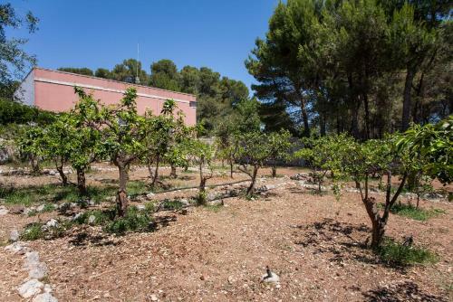 Tipica Villa Di Campagna Con Piscina Privata M313