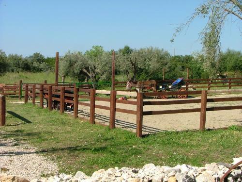 Agroturismo Agriturismo Agrimilo