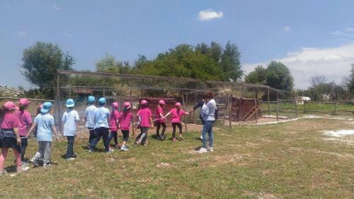 Agroturismo Agriturismo Agrimilo