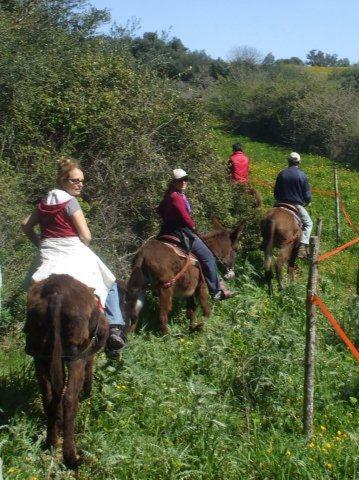 Agroturismo Agriturismo Agrimilo