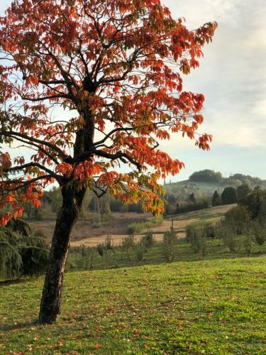 Agroturismo Cascina San Giorgio