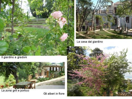 Agroturismo Agriturismo Il Palmarone