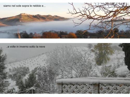 Agroturismo Agriturismo Il Palmarone