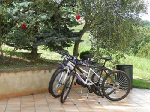 Agroturismo Agriturismo Il Palmarone