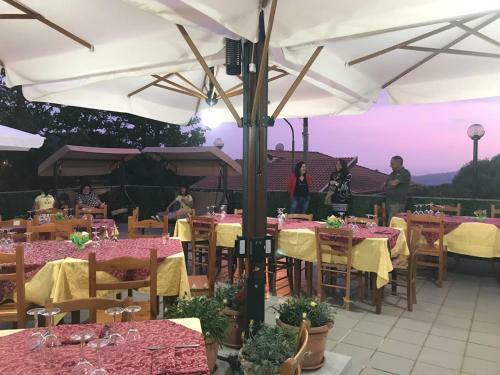 Bed & Breakfast Casa Vacanze Primula