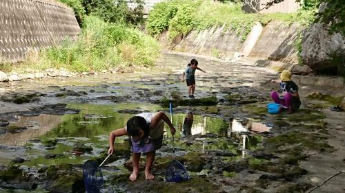 Agroturismo With Nature