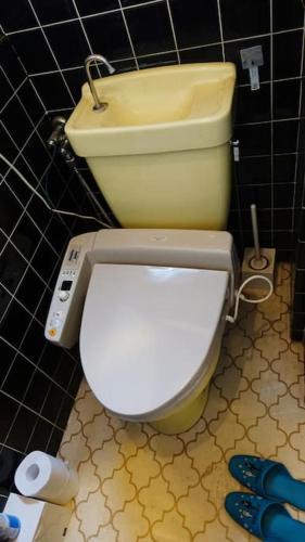 Apartamento Green House 1-mt.fuji Gotemba-