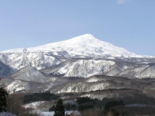 Chokai Sarukuraonsen Hotel Foresta Chokai
