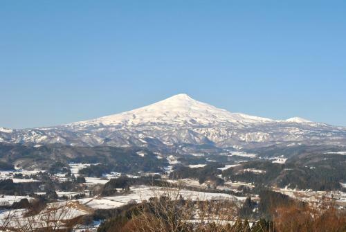 Chokai Sarukuraonsen Hotel Foresta Chokai