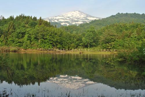Chokai Sarukuraonsen Hotel Foresta Chokai