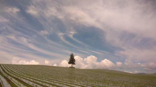 Lodge Pension Kinouta