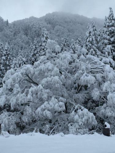 Guest House Piste