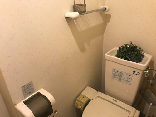 Hotel Vegas (Adult Only)