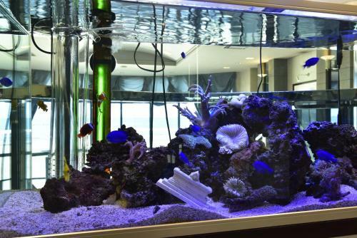 Hotel Luna Coast (Adult Only)