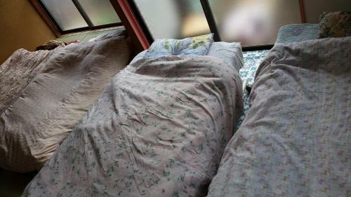 Hostal Higashi Matsudo Home, Narita Ap Direct