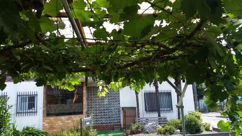 Hostal Higashi Matsudo Home, Narita Ap Direct