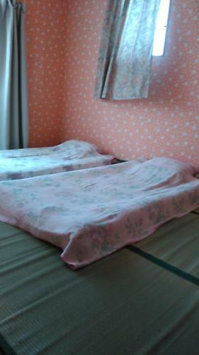 Hostal Higashi Matsudo Home, Narita Ap Direct