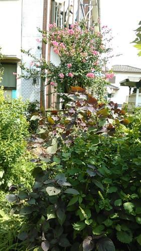 Hostal Higashi Matsudo Home, Narita Ap Direct