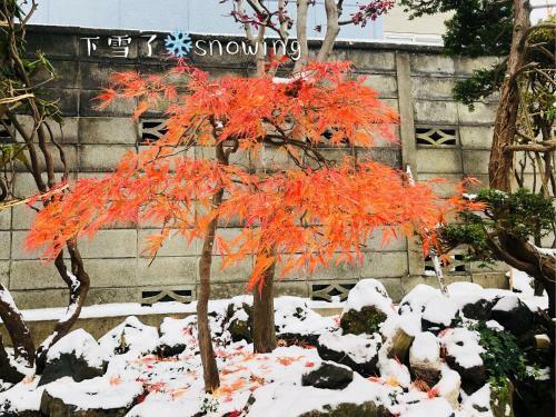 Bed & Breakfast Otarunishikien