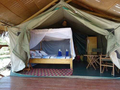 Crocodile Camp-masai Mara
