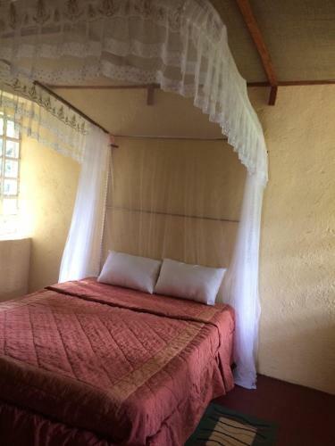 Swietenia Chalets