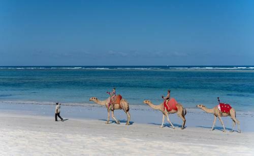 Hotel Leisure Lodge Beach & Golf Resort