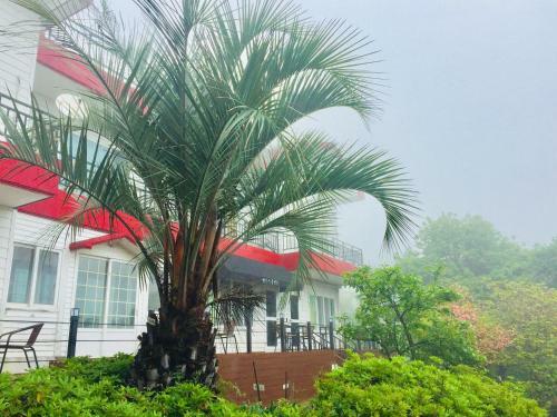 The Jeju Red Roof Pension