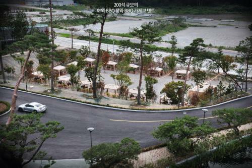 Hotel Pine Forest Jeongseon Alpine Resort