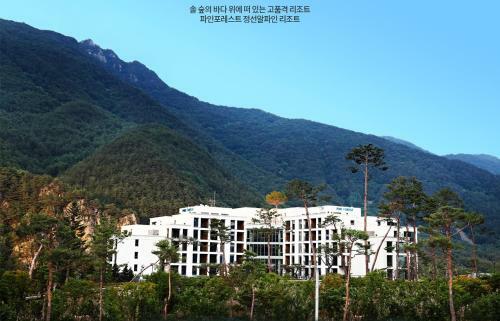 Hotel Pine Forest Jeongseon Alpine Resort