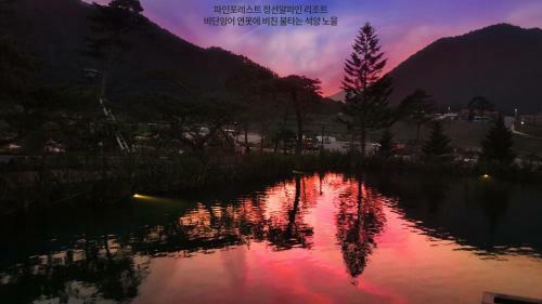Hotel Pine Forest Jeongseon Alpine Resort