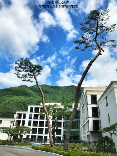 Hotel Pine Forest Jeongseon Alpine Resort