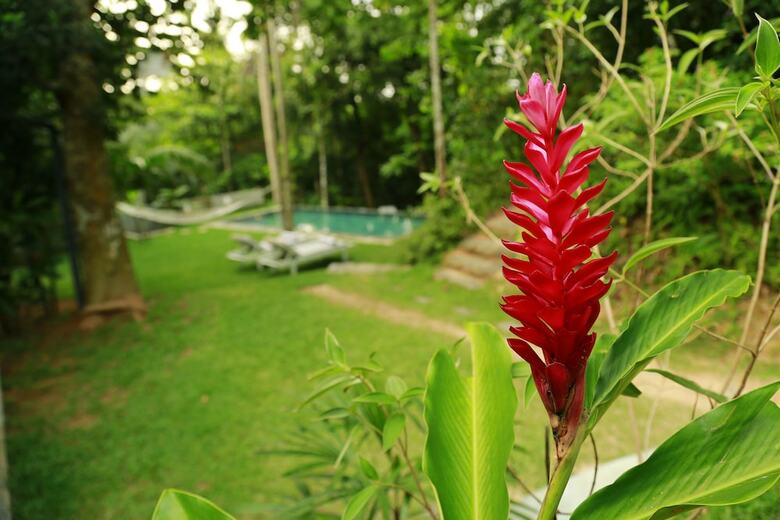 Villa Ceylon Olive Galle