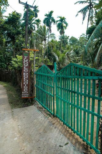 Jungle Paradise