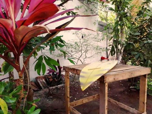 Banana Garden Hotel Madiha