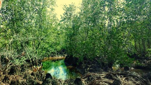 Samudra's Place
