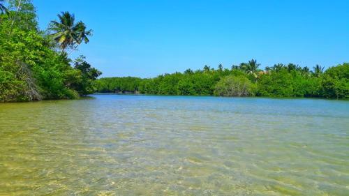 Samudra's Place