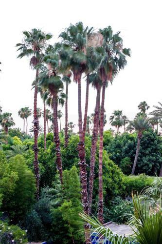 Apartamento R�sidence Mirador Majorelle