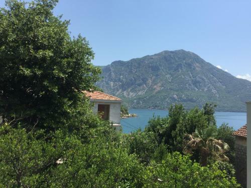 Agroturismo Apartmani Ivana