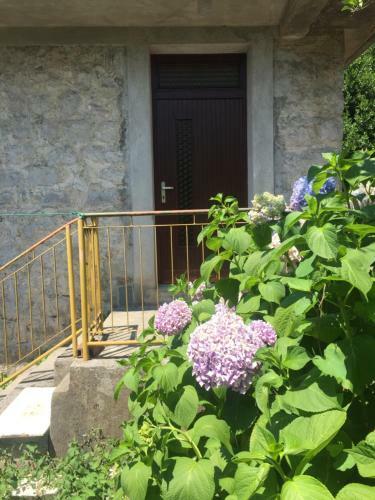 Agroturismo Apartmani Ivana