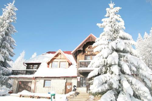 Bed & Breakfast Czajka