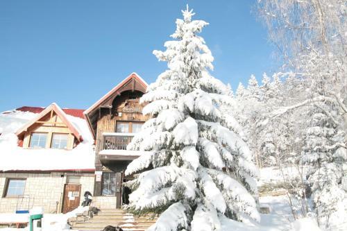 Bed & Breakfast Czajka