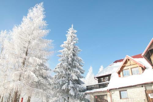Bed & Breakfast Czajka
