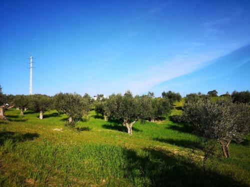 Agroturismo Quinta Ribeiro Tanquinhos