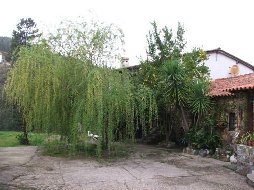 Apartamento Ch�o Da Lousa