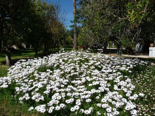 Bed & Breakfast Quinta Quinze