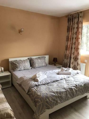 Hostal Pensiunea Sabina Predeal