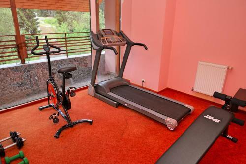 Atrium Hotel Mountain View Predeal