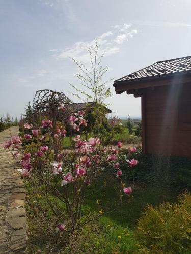 Sat de Vacanta Ciprian Porumbescu